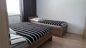two twin beds in a room with a window at Apartmán Loučná in Loučná nad Desnou +24 photos