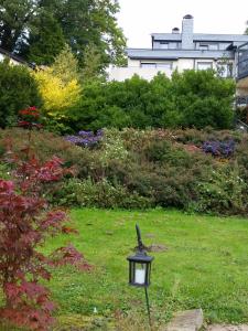 a lamp in a garden with flowers and bushes at Ferienhaus am Kaufunger Wald in Kaufungen
