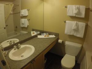 ein Badezimmer mit einem Waschbecken, einem WC und einem Spiegel in der Unterkunft Panorama Vacation Retreat at Horsethief Lodge in Panorama