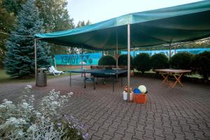 Stolní tenis v ubytování Renau nebo okolí