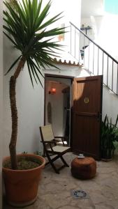 タリファにあるLA MIRILLA SUITES 1の椅子とヤシの木のある部屋
