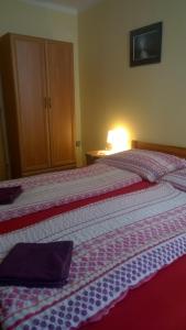 Postel nebo postele na pokoji v ubytování Penzion Lipůvka