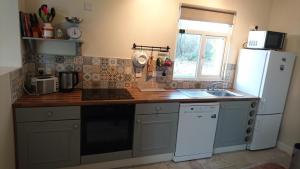 een keuken met een witte koelkast en een wastafel bij Lakeside house in Oughterard