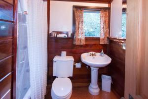 a bathroom with a toilet and a sink at Redwood Cottage in Mendocino