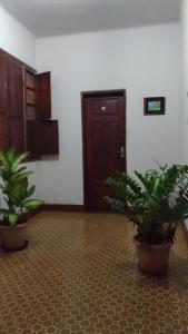 a room with two potted plants in front of a door at Hotel Indaiá in Governador Valadares
