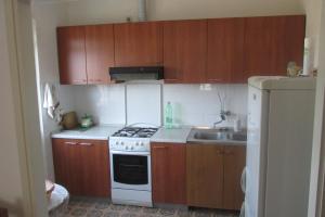 kuchnia z drewnianymi szafkami, kuchenką i zlewem w obiekcie Holiday home w mieście Sušica