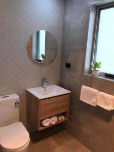 a bathroom with a toilet and a sink and a mirror at CBD Apartments Launceston in Launceston