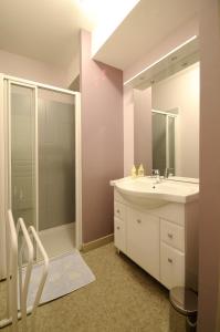 y baño con lavabo y ducha con espejo. en Les appartements du Relais du Jacquet, en Navarrenx