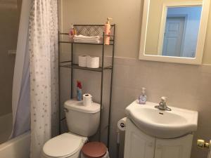 a bathroom with a toilet and a sink and a mirror at Mojoy Homesuites At Runyon in Newark