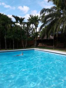 Bazén v ubytování Hotel Ambaibo nebo v jeho okolí