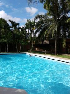 Bazén v ubytování Hotel Ambaibo nebo v jeho okolí