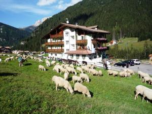 Fotografie z fotogalerie ubytování Hotel Sassleng v destinaci Canazei