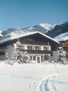 グロースアルルにあるHaus Alpina by Châtel Reizenの雪山を背景にした建物