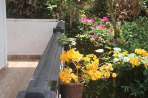Giardino di Maneesha Guest House