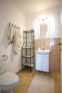 ein Badezimmer mit einem WC, einem Waschbecken und einem Spiegel in der Unterkunft Casa Júlia in Odorheiu Secuiesc