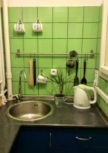 布达佩斯布达佩斯中心脉动生命公寓的厨房柜台设有水槽和绿色瓷砖