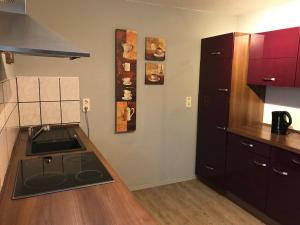 Kuchyň nebo kuchyňský kout v ubytování Ferienwohnung - Kurz + 14 fotografií