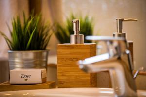 a bathroom sink with a faucet and a bottle of dane soap at Houzzz21 in Zagreb