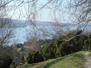 Blick auf einen See von einem Hügel mit Bäumen in der Unterkunft Bramslevgaard in Hobro