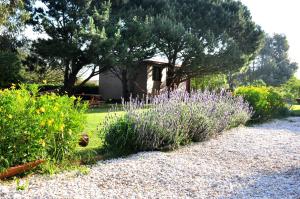 Un jardín con flores y árboles morados y un edificio. en La Lucinda - Campo y mar, en Chapadmalal