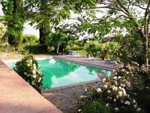 a swimming pool in a yard with trees and flowers at Il Fico in Chianti in Gaiole in Chianti