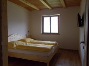 a bedroom with a bed with a window and a television at Pichlerhof in Bressanone