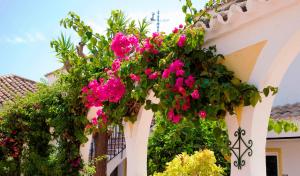 Zahrada ubytování Globales Pueblo Andaluz