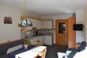 Kuchyň nebo kuchyňský kout v ubytování Haus Neururer + 14 fotografií
