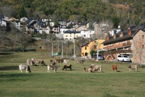 Fotografie z fotogalerie ubytování Ésera Dos Catedrales v destinaci Villanova