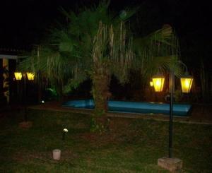 a palm tree next to a swimming pool at night at El Guembe Hostel House in Puerto Iguazú