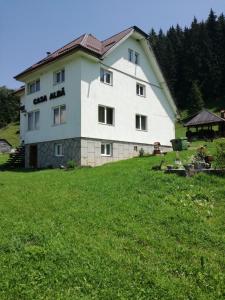 a large white building on top of a green field at Casa Alba in Fundata