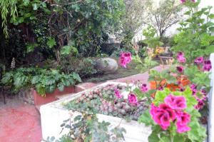 un jardín con flores rosas y otras plantas en Posada de los Velez, en La Paz