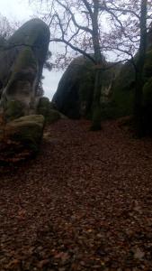 Paesaggio naturale nelle vicinanze dell'affittacamere