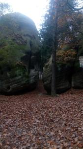 Paesaggio naturale nelle vicinanze dell'affittacamere