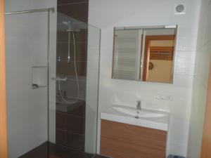 Vannituba majutusasutuses Appartement Alpenglück