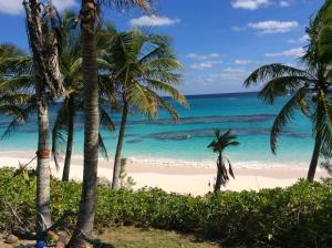 una spiaggia con palme e l'oceano di Da Villa a Governorʼs Harbour