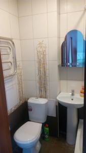 a bathroom with a toilet and a sink at Apartaments in Borisov in Borisov