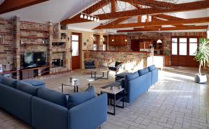 Woodland Villa في غيولا: غرفة معيشة مع أرائك زرقاء وتلفزيون