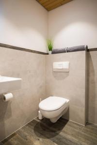 a bathroom with a toilet and a sink at Ferienwohnung "Zum Leitnerbachl" in Schliersee