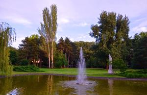 einen Brunnen in einem Teich in einem Park in der Unterkunft Central Studio Apartment in Novi Sad