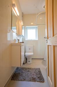 bagno con servizi igienici, lavandino e specchio di Ty'r Afon - River Cottage a Bala