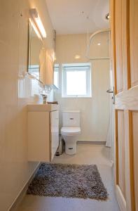 a bathroom with a toilet and a sink and a mirror at Ty'r Afon - River Cottage in Bala