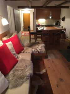a living room with a couch with a dog laying on it at Les Boucanier in Verbier +8 photos