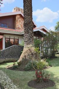 a palm tree in front of a house at Casatodosantos in Cuenca
