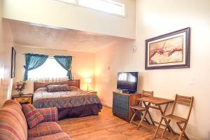 ein Schlafzimmer mit einem Bett, einem Sofa und einem TV in der Unterkunft H&H Motor Lodge in Idaho Springs
