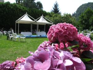 Jardí fora de Albergo Italia