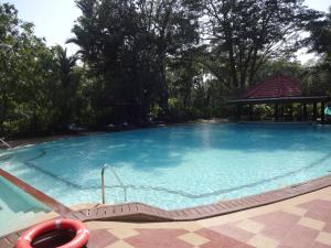 a large blue swimming pool with a gazebo at Taj Kumarakom Resort and Spa Kerala in Kumarakom