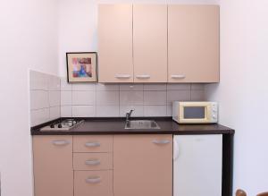 Kuchyň nebo kuchyňský kout v ubytování Apartments Dusanka 799