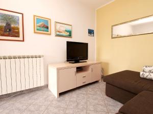 TV a/nebo společenská místnost v ubytování Apartments Dusanka 799