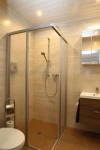 a bathroom with a shower with a toilet and a sink at Ferienwohnung Kopp II in Greiz